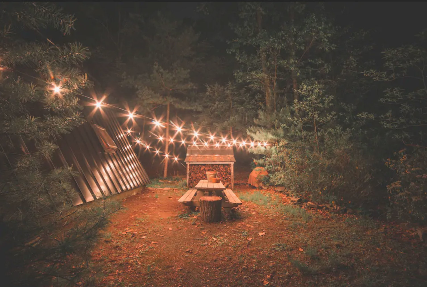 Refugio en el bosque patagónico